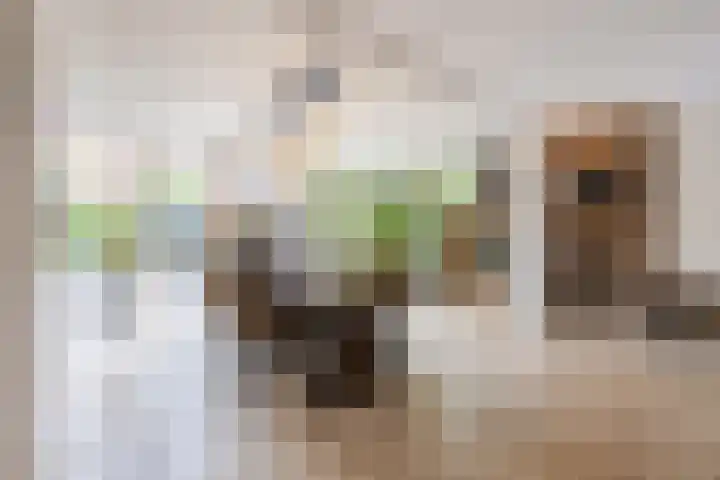 Vlettevaart 2 Steenbergen thumbnail 19