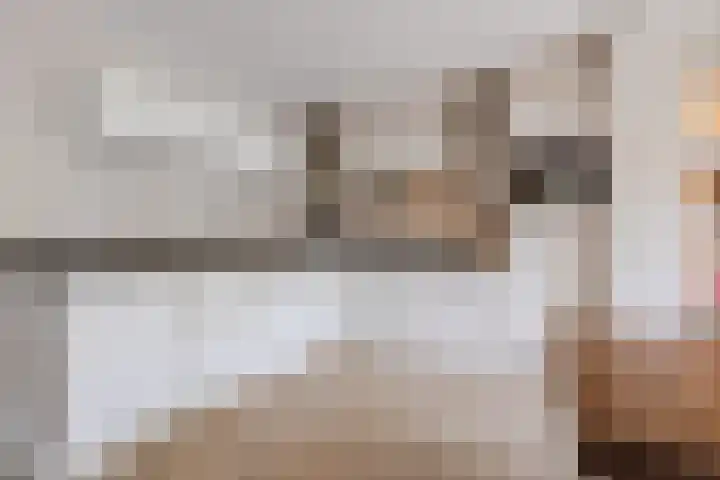 Vlettevaart 2 Steenbergen thumbnail 21