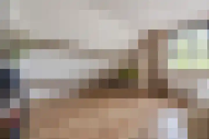 Vlettevaart 2 Steenbergen thumbnail 27