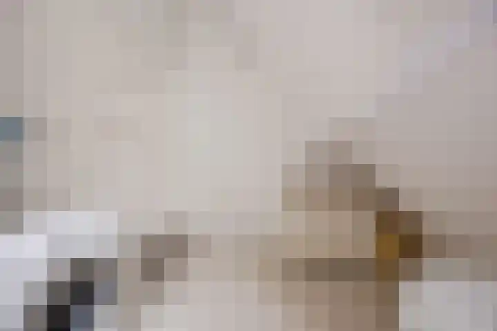 Vlettevaart 2 Steenbergen thumbnail 38