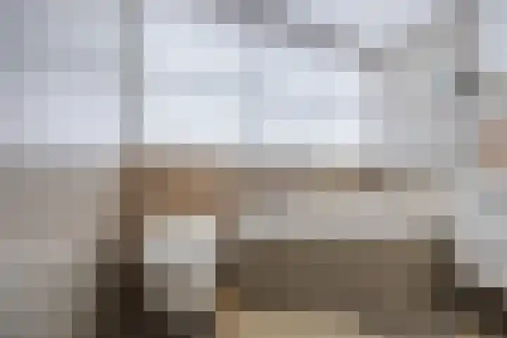 Vlettevaart 2 Steenbergen thumbnail 40