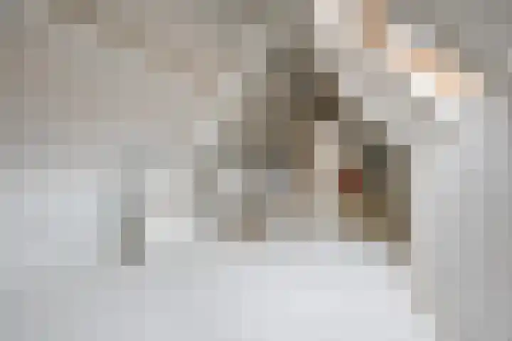 Vlettevaart 2 Steenbergen thumbnail 44
