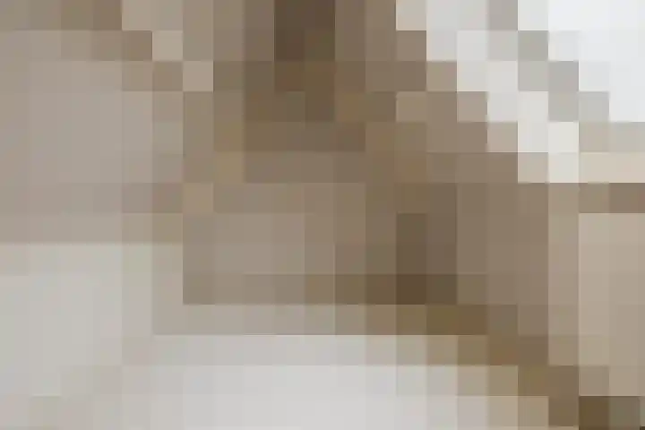 Vlettevaart 2 Steenbergen thumbnail 45