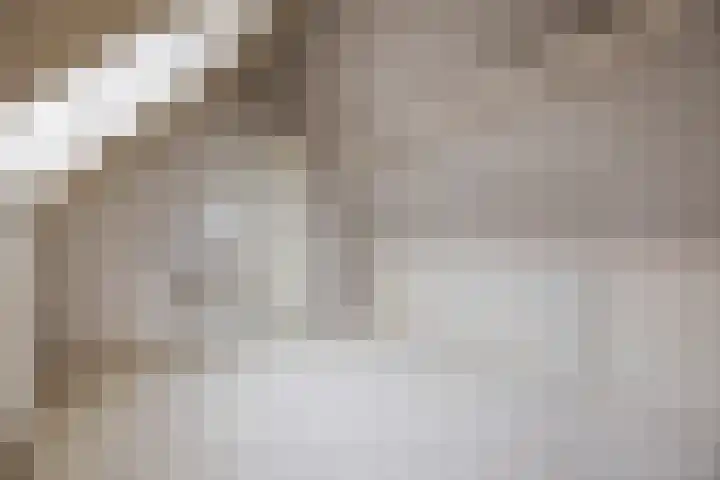 Vlettevaart 2 Steenbergen thumbnail 47