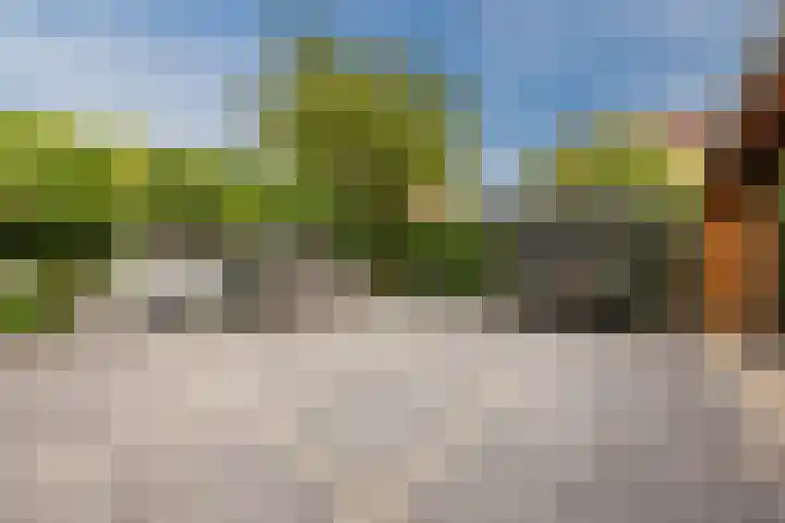 Vlettevaart 2 Steenbergen thumbnail 49