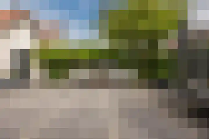 Vlettevaart 2 Steenbergen thumbnail 50