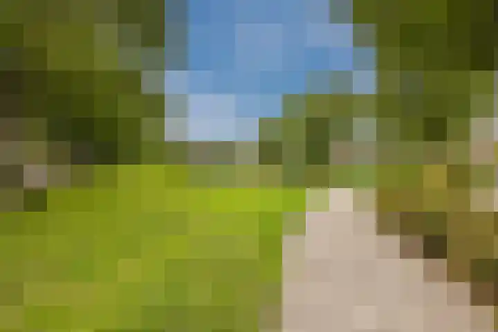 Vlettevaart 2 Steenbergen thumbnail 57
