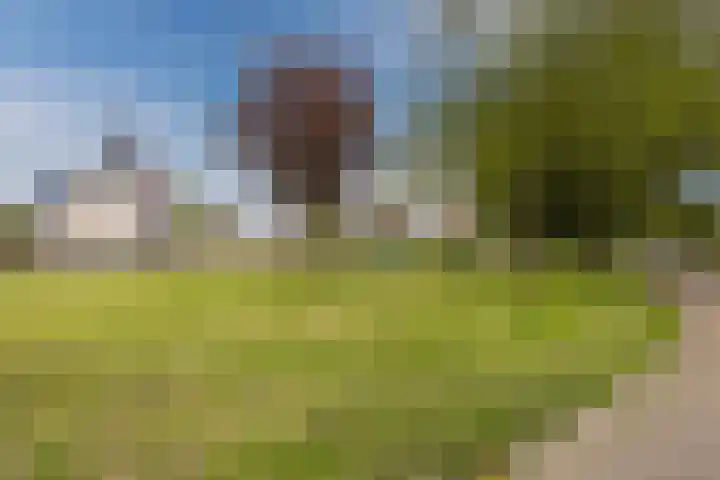 Vlettevaart 2 Steenbergen thumbnail 58