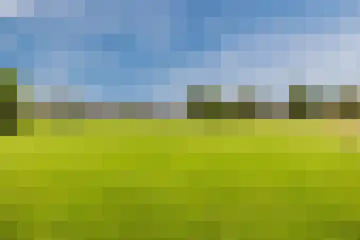Vlettevaart 2 Steenbergen thumbnail 59
