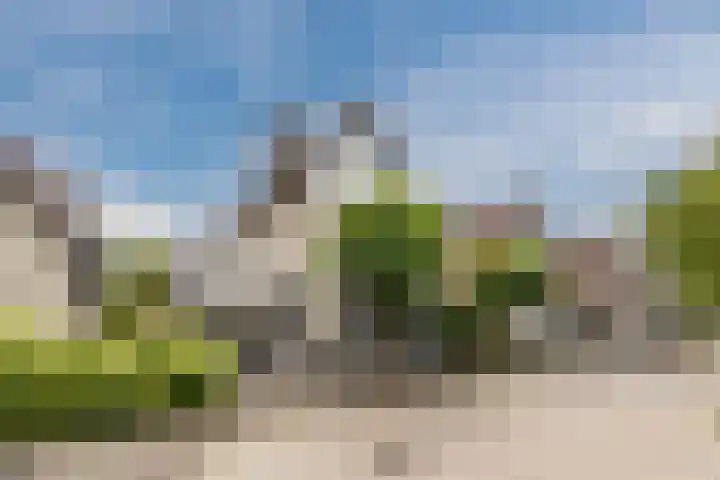 Vlettevaart 2 Steenbergen thumbnail 6