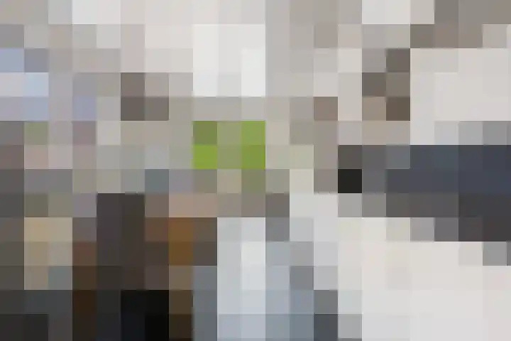 Vlettevaart 21 Rucphen thumbnail 14