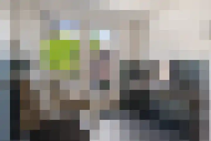 Vlettevaart 21 Rucphen thumbnail 17