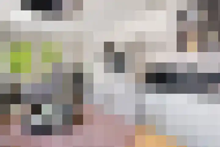 Vlettevaart 21 Rucphen thumbnail 19