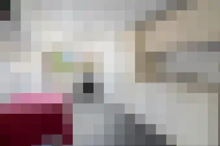 Vlettevaart 21 Rucphen thumbnail 21