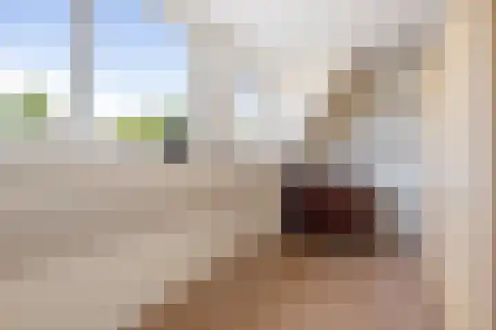 Vlettevaart 21 Rucphen thumbnail 32