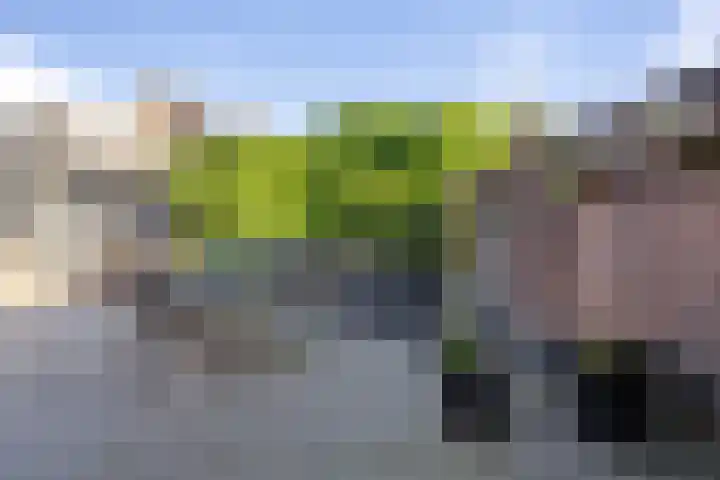 Vlettevaart 21 Rucphen thumbnail 34