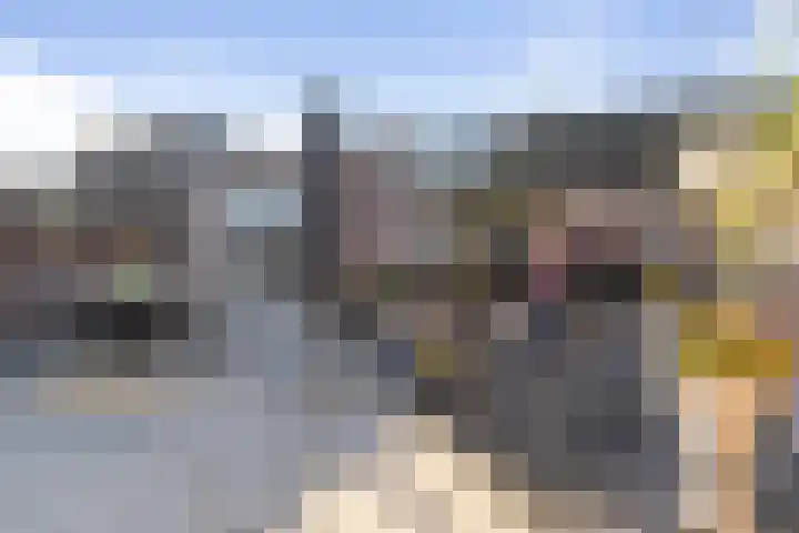 Vlettevaart 21 Rucphen thumbnail 37