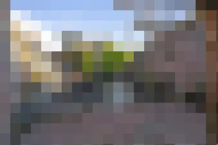 Vlettevaart 21 Rucphen thumbnail 39