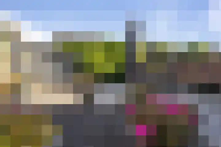 Vlettevaart 21 Rucphen thumbnail 4