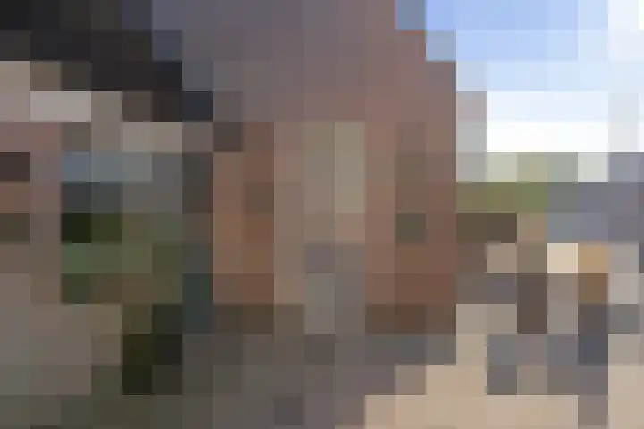 Vlettevaart 21 Rucphen thumbnail 5