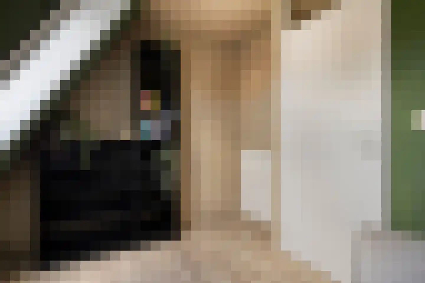 Vlettevaart 23 Rucphen thumbnail 19