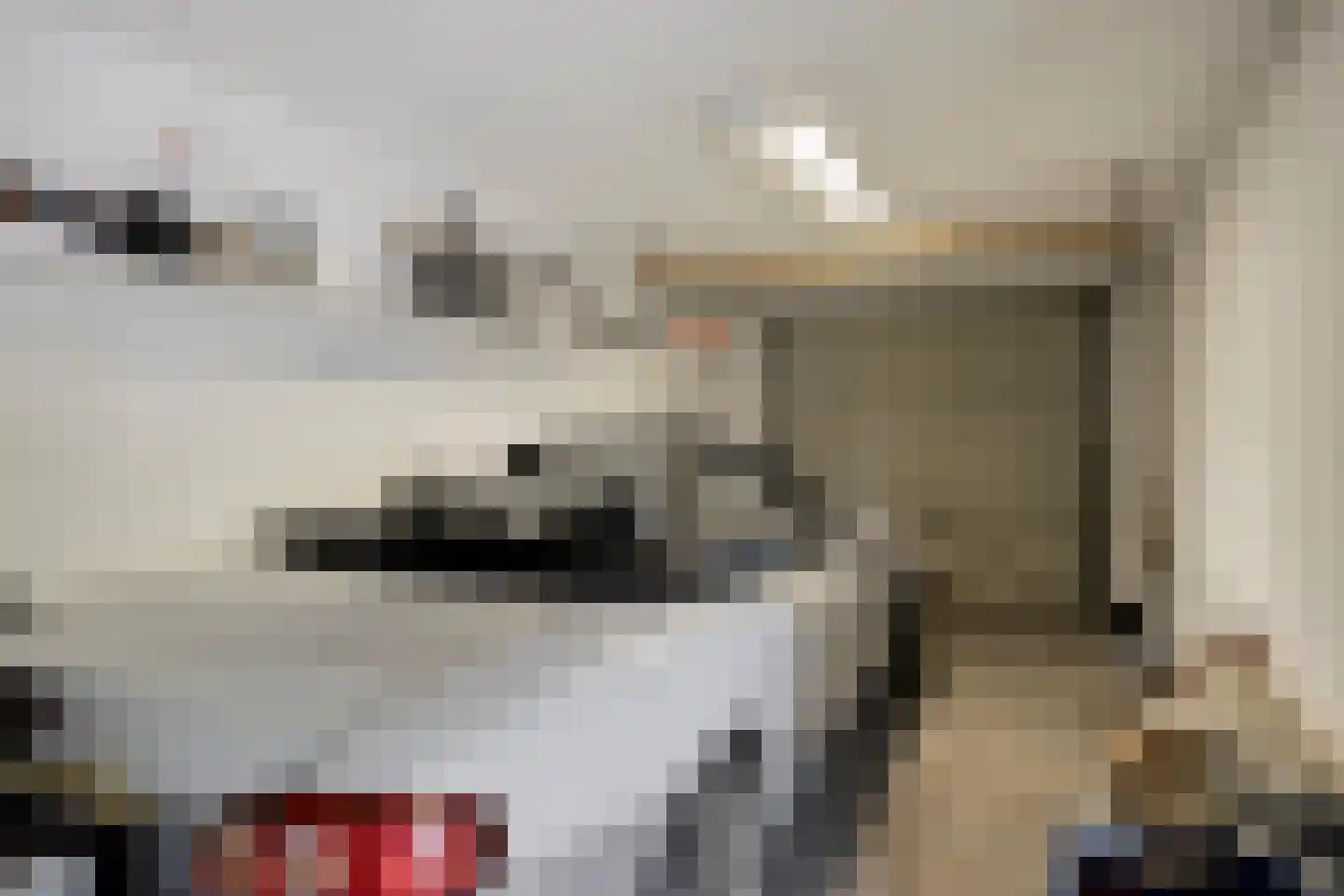 Vlettevaart 23 Rucphen thumbnail 21