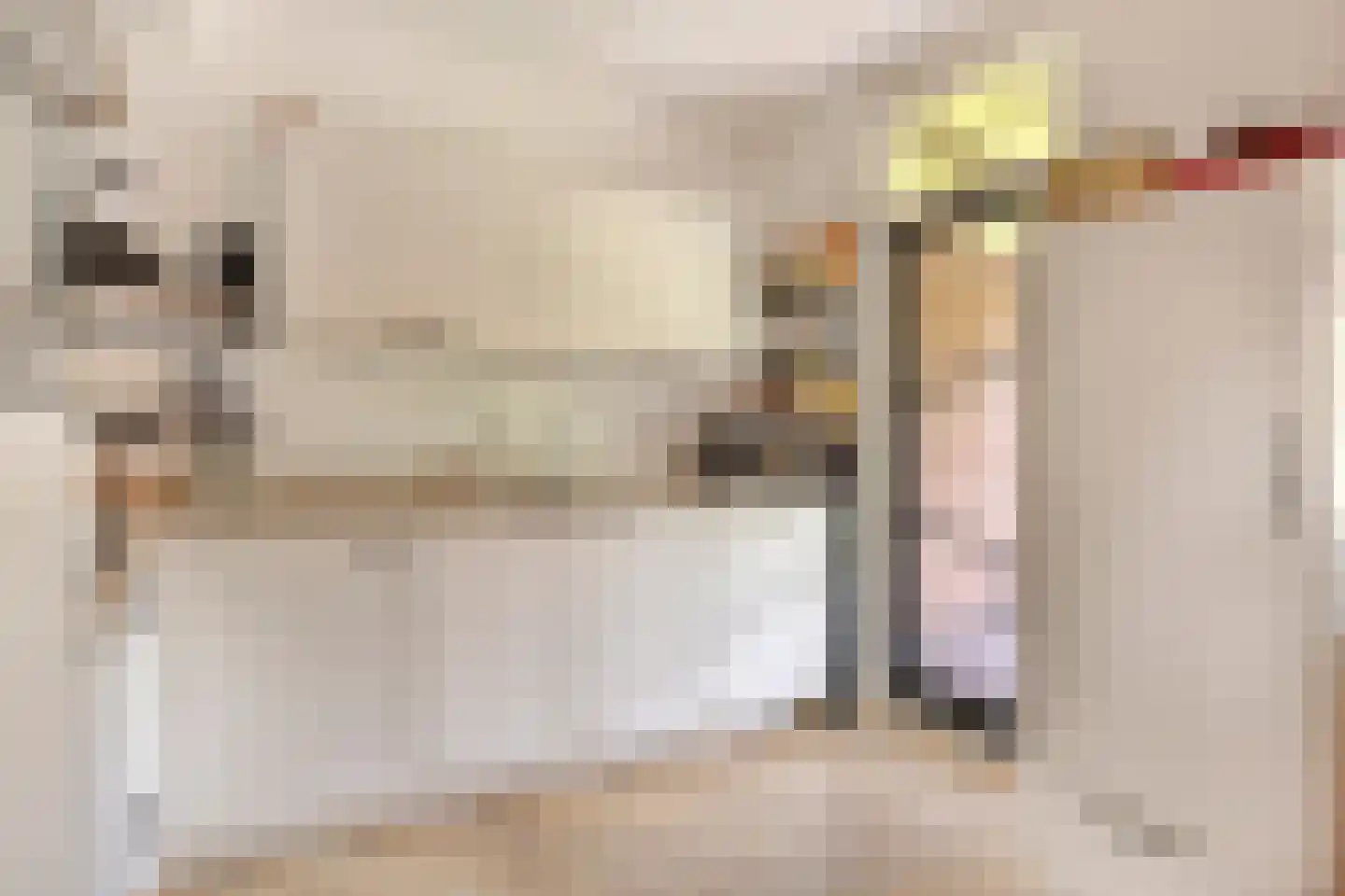 Vlettevaart 23 Rucphen thumbnail 8