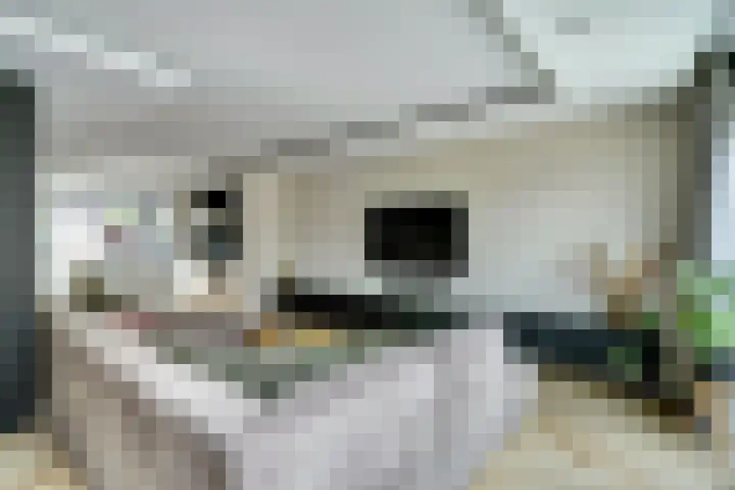 Vlettevaart 69 Tilburg thumbnail 12