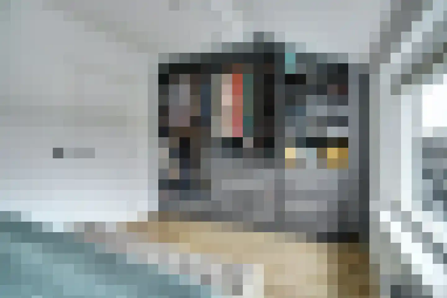 Vlettevaart 69 Tilburg thumbnail 22