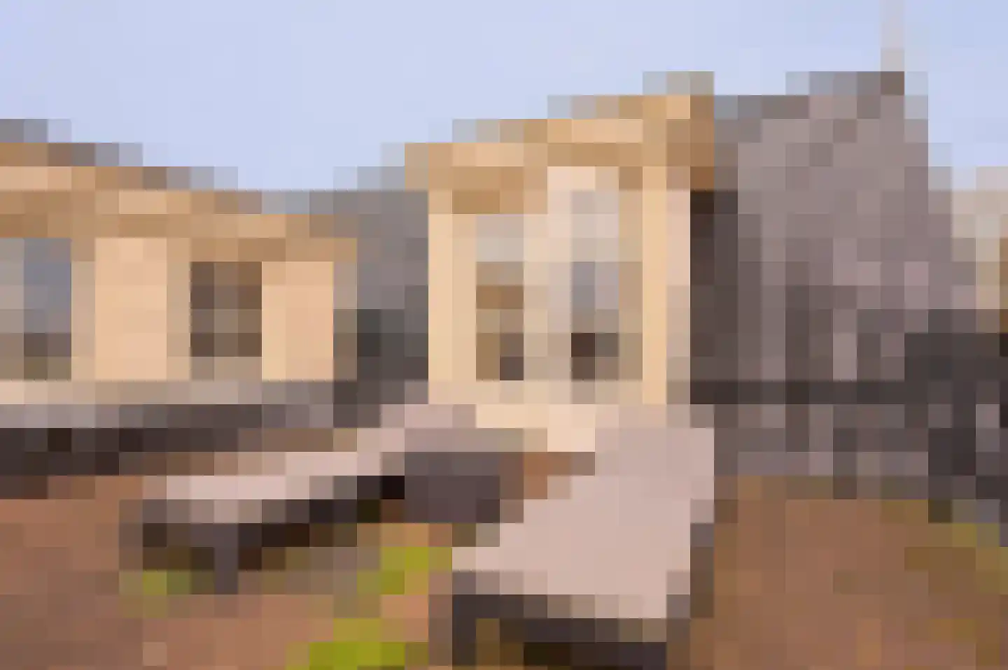 Vleugeldijk 30 Zuilichem thumbnail 26