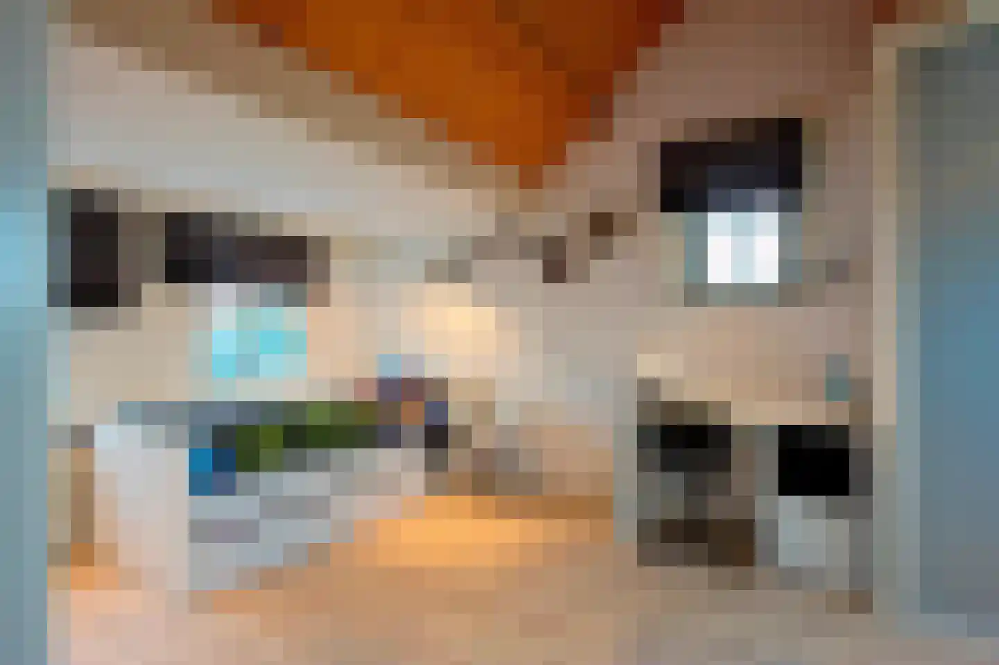 Vleugeldijk 30 Zuilichem thumbnail 29