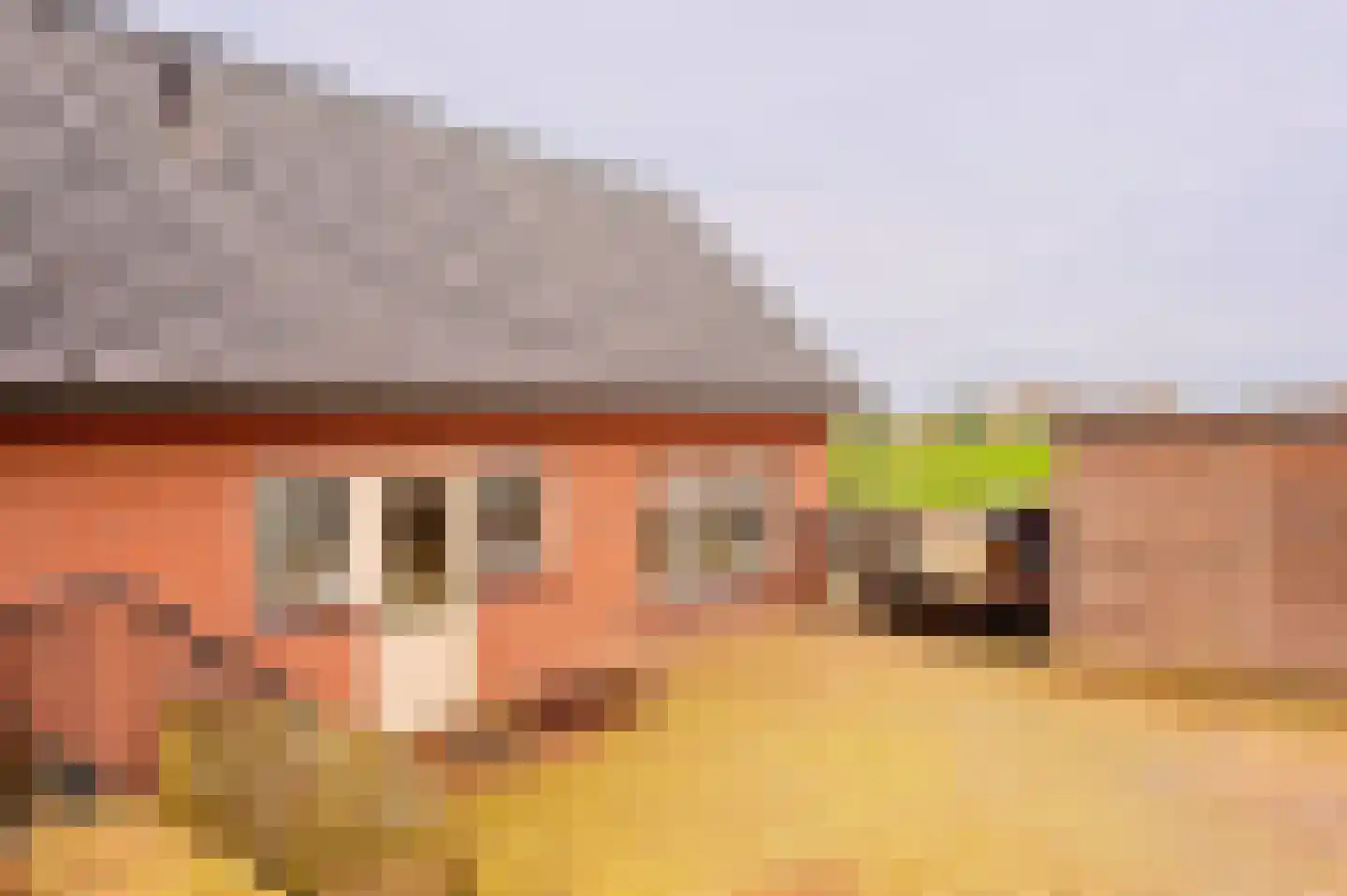 Vleugeldijk 30 Zuilichem thumbnail 32