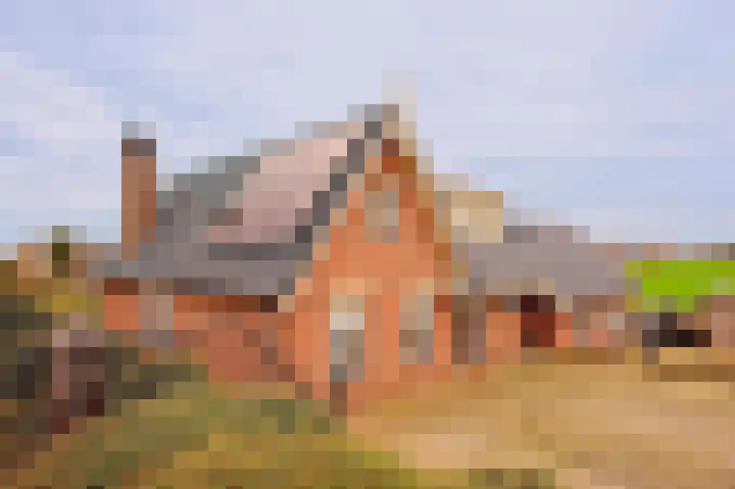 Vleugeldijk 30 Zuilichem thumbnail 42