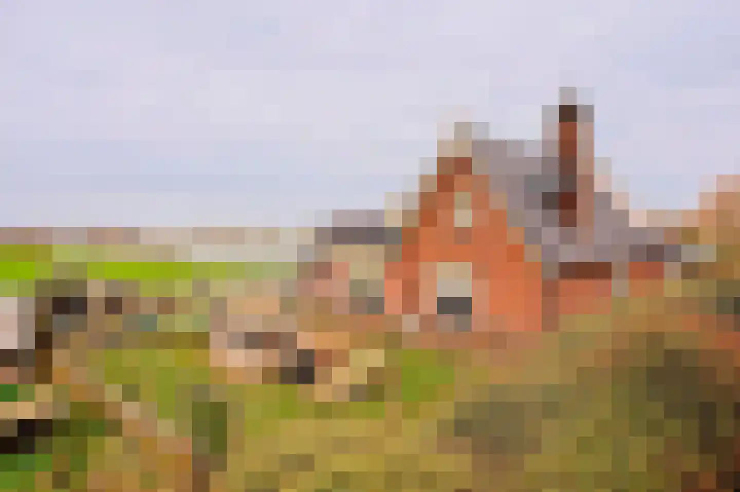 Vleugeldijk 30 Zuilichem thumbnail 44