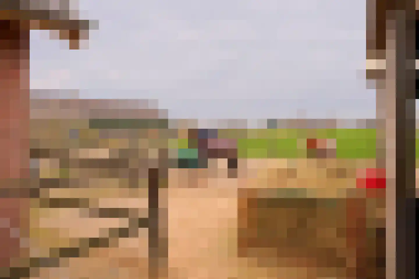 Vleugeldijk 30 Zuilichem thumbnail 46