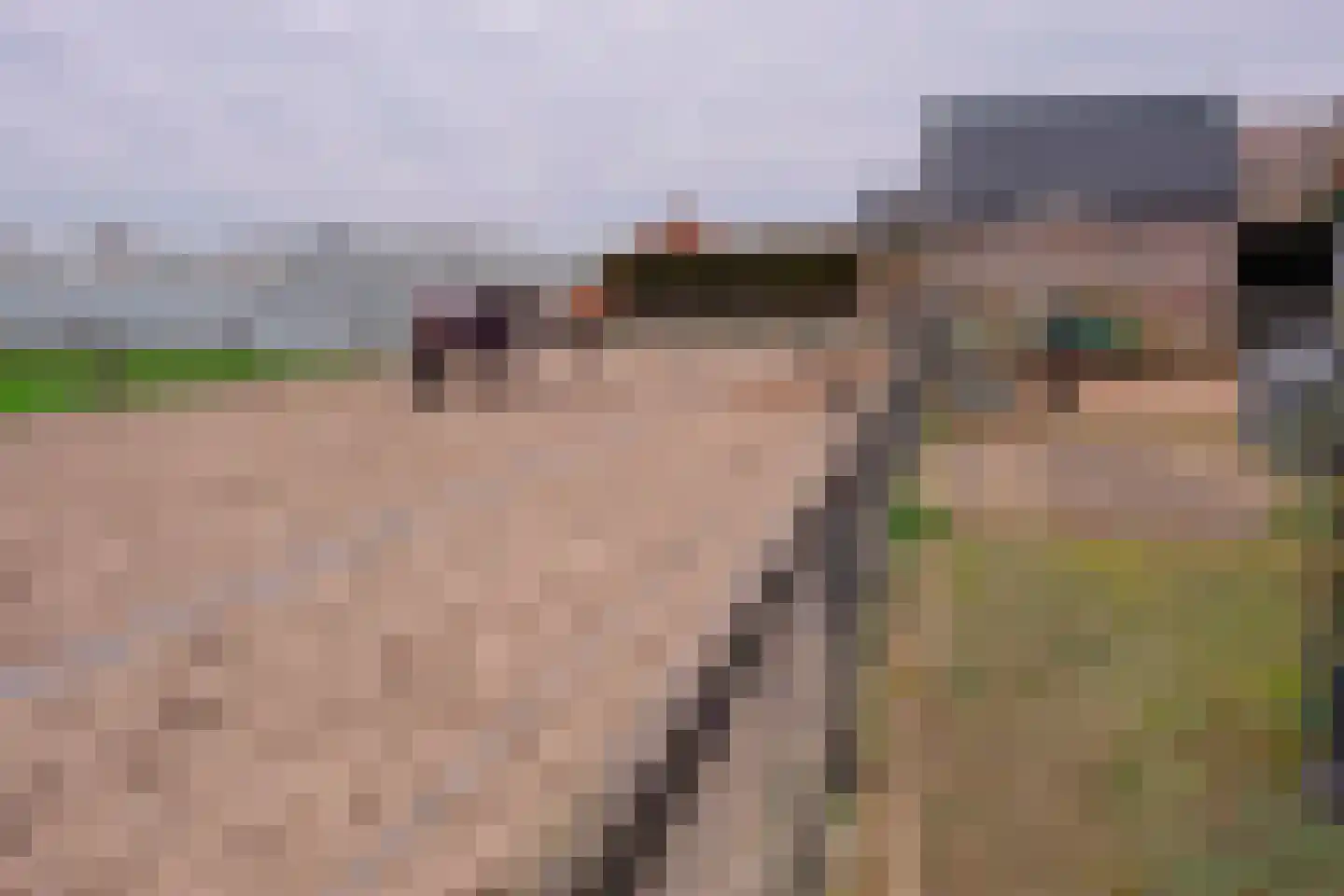 Vleugeldijk 30 Zuilichem thumbnail 47