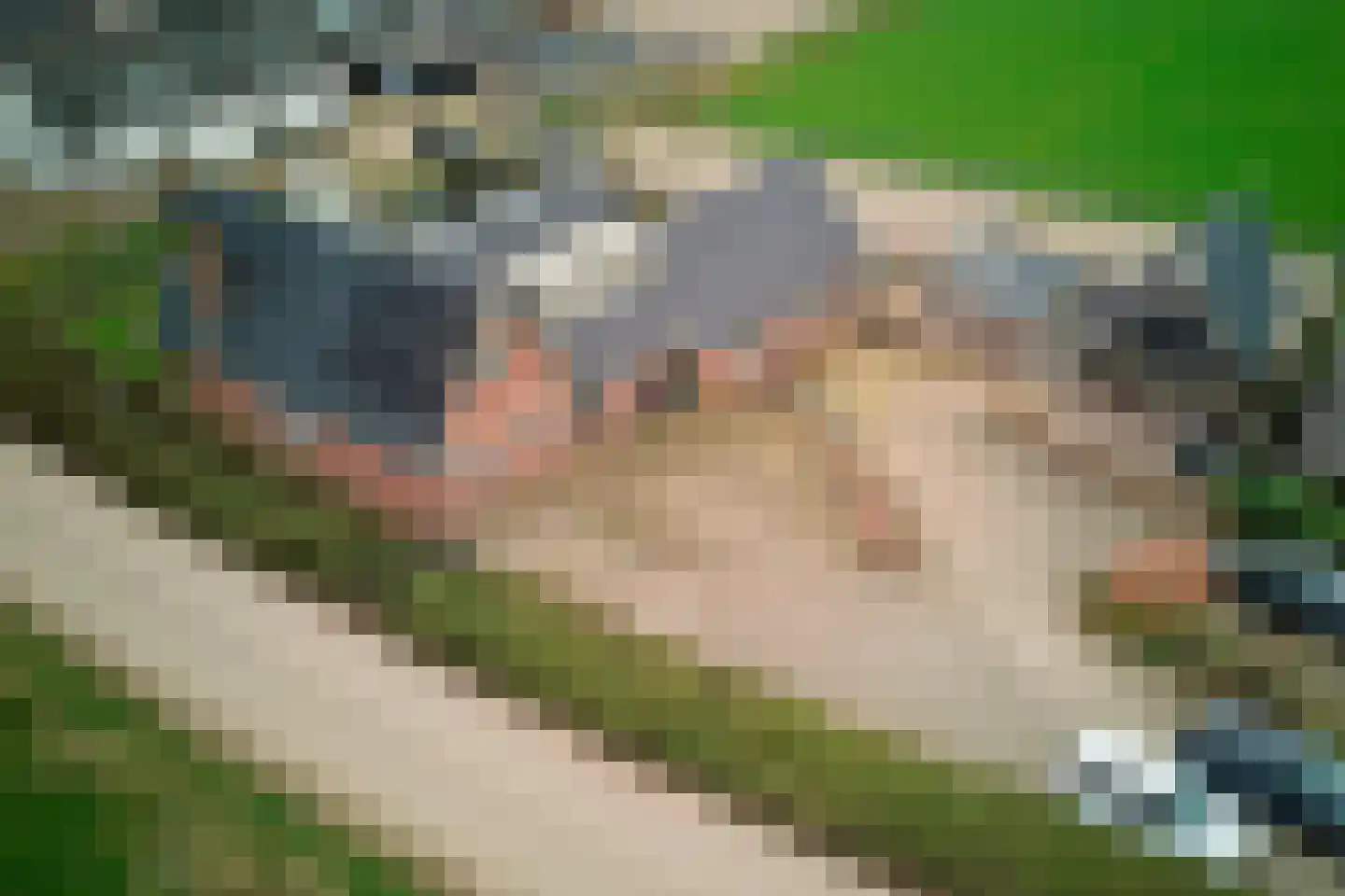 Vleugeldijk 30 Zuilichem thumbnail 48