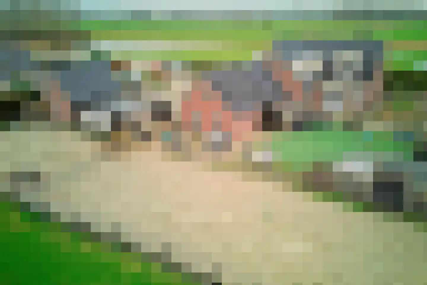 Vleugeldijk 30 Zuilichem thumbnail 49