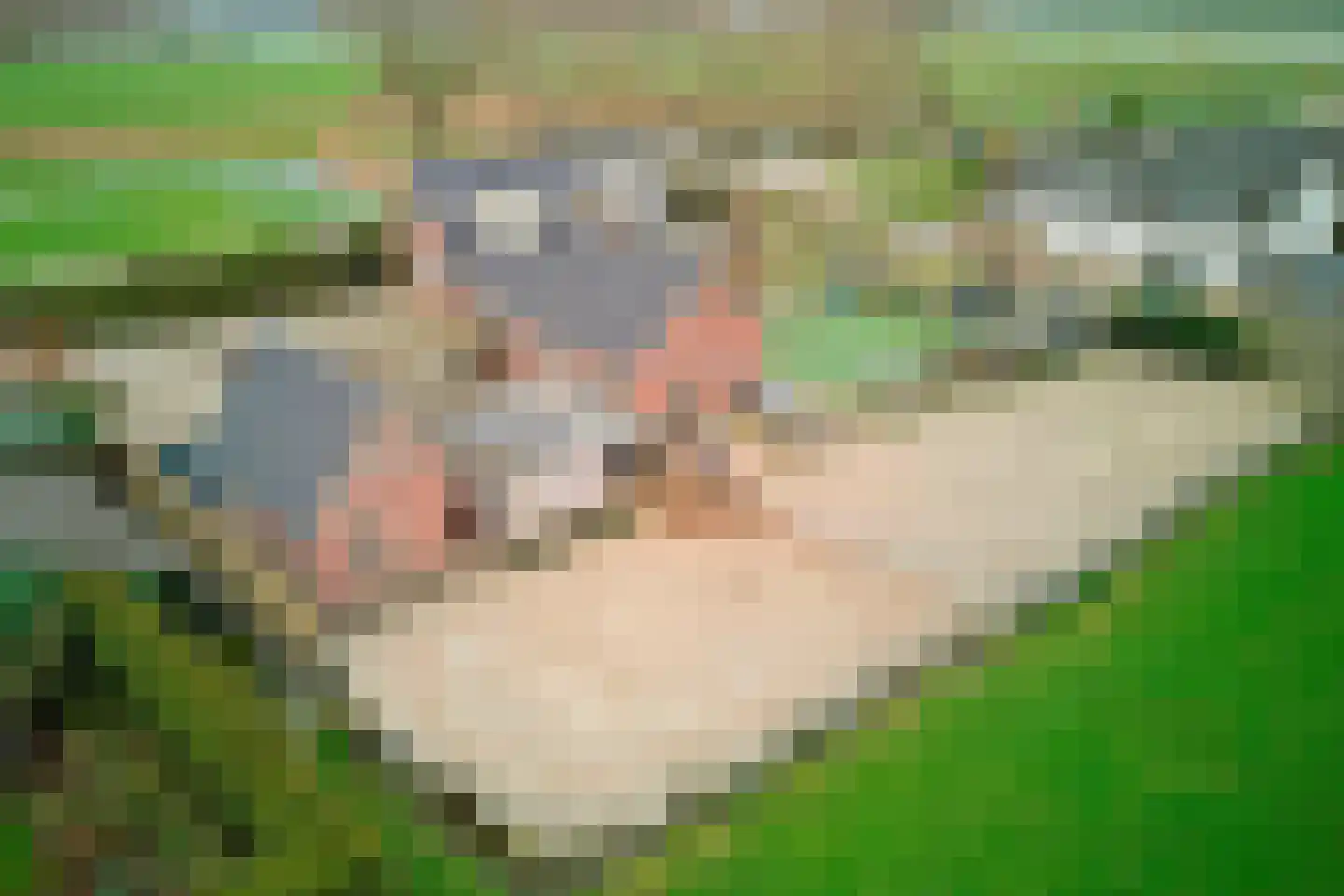 Vleugeldijk 30 Zuilichem thumbnail 50