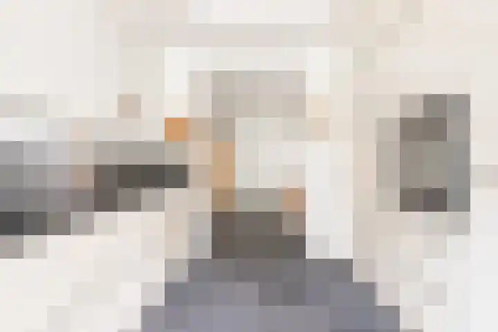 Vleugelmorgenstraat 1 Stein thumbnail 10