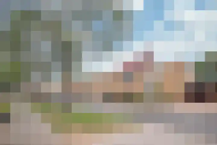 Vleugelmorgenstraat 1 Stein thumbnail 22