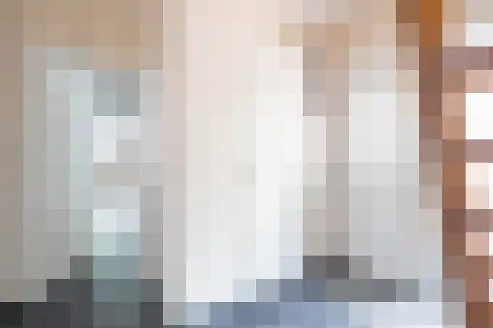 Vleugelmorgenstraat 1 Stein thumbnail 4