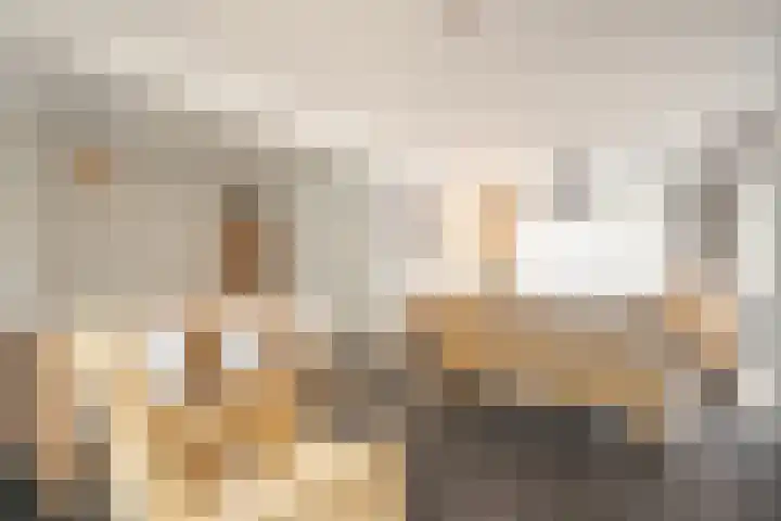 Vleugelmorgenstraat 1 Stein thumbnail 5