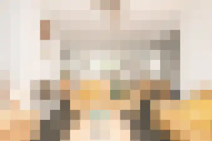 Vleugelmorgenstraat 1 Stein thumbnail 6