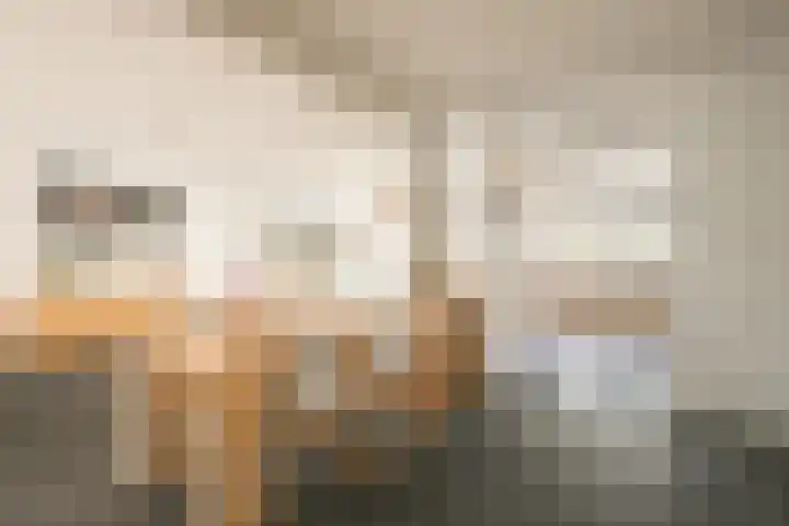 Vleugelmorgenstraat 1 Stein thumbnail 7