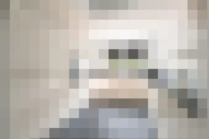 Vleugelmorgenstraat 1 Stein thumbnail 9