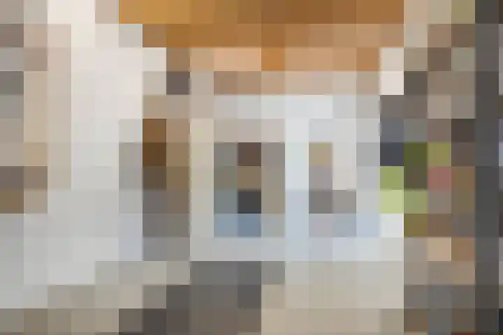 Vleugelmorgenstraat 19 Stein thumbnail 32