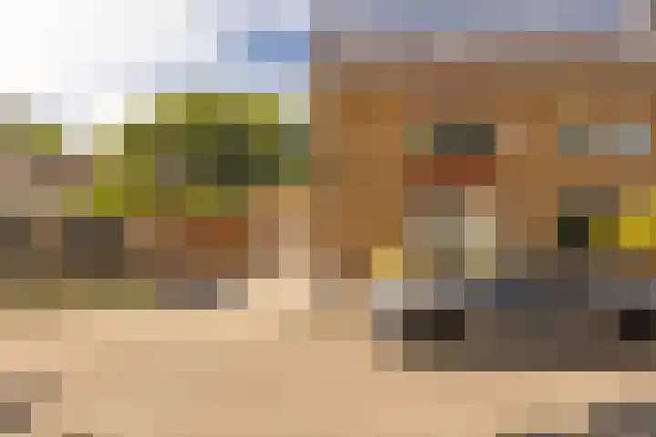 Vleugelmorgenstraat 19 Stein thumbnail 8