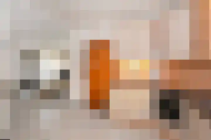 Vleugelmorgenstraat 27 Stein thumbnail 11