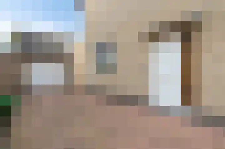 Vleugelmorgenstraat 27 Stein thumbnail 5
